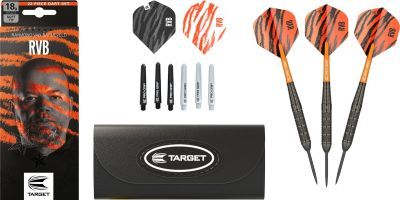 Target Brass Raymond van Barneveld Steeldarts 2023 22 Gram Steeldarts