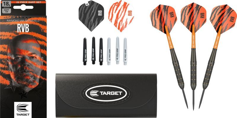 Target Brass Raymond van Barneveld Steeldarts 2023 22 Gramm Steeldarts