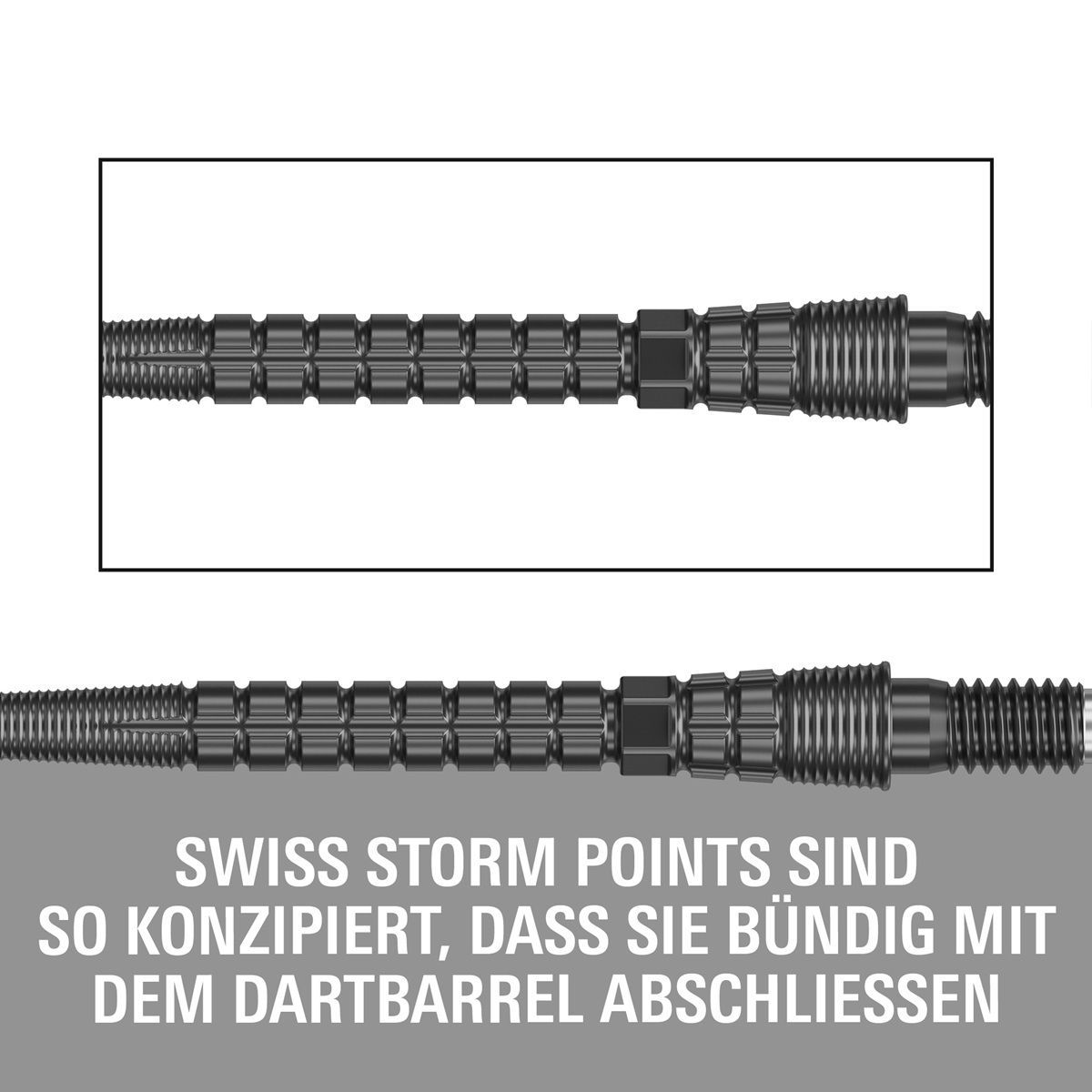 Target Chrono Storm Swiss Point 30/35/42 mm Gold/Black/Silver Wechselspitzen