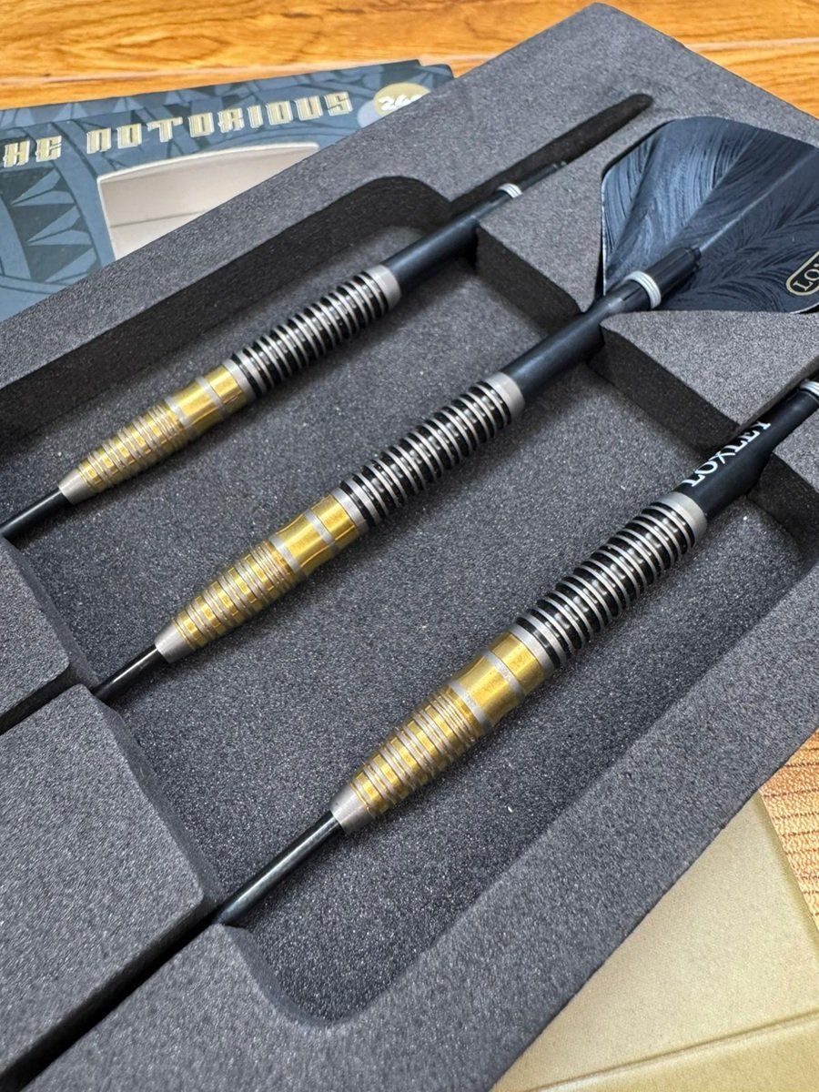 Loxley The Notorious 95% Steeldarts 24 Gramm Steeldarts