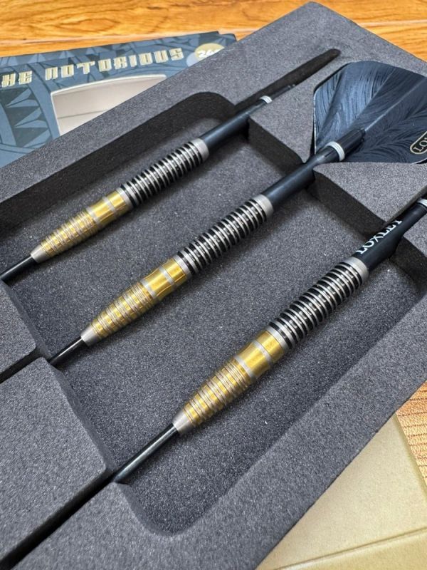 Loxley The Notorious 95% Steeldarts 24 Gram Steeldarts